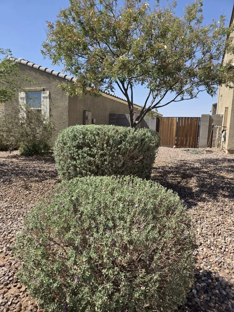 Trusted outdoor landscaping in Mesa, AZ by Sam's Landscaping