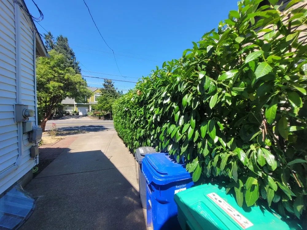 Affordable landscape design for year-round maintenance across Portland, OR - Sam's Landscaping