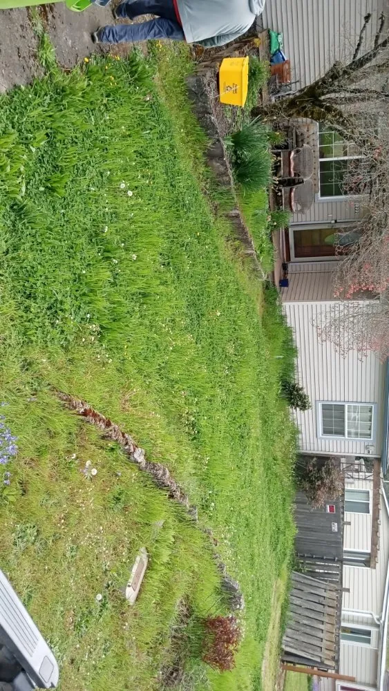 Expert yard cleanup service experts serving Portland, OR - Sam's Landscaping