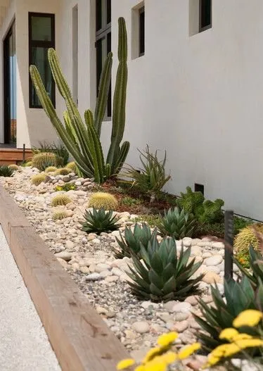 Affordable garden landscaping in San Antonio, TX - Sam's Landscaping