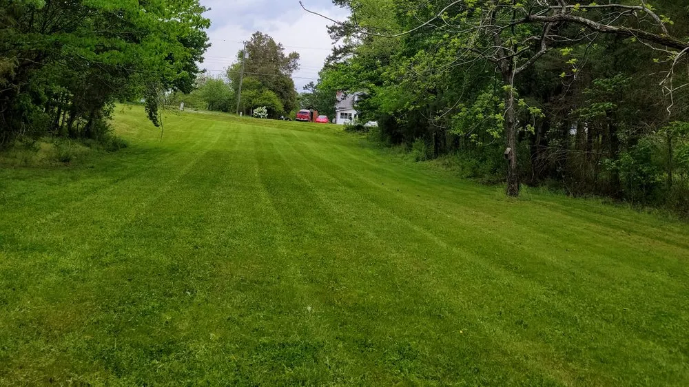 Expert landscaping services experts serving Clemmons, NC - Sam's Lawn Care