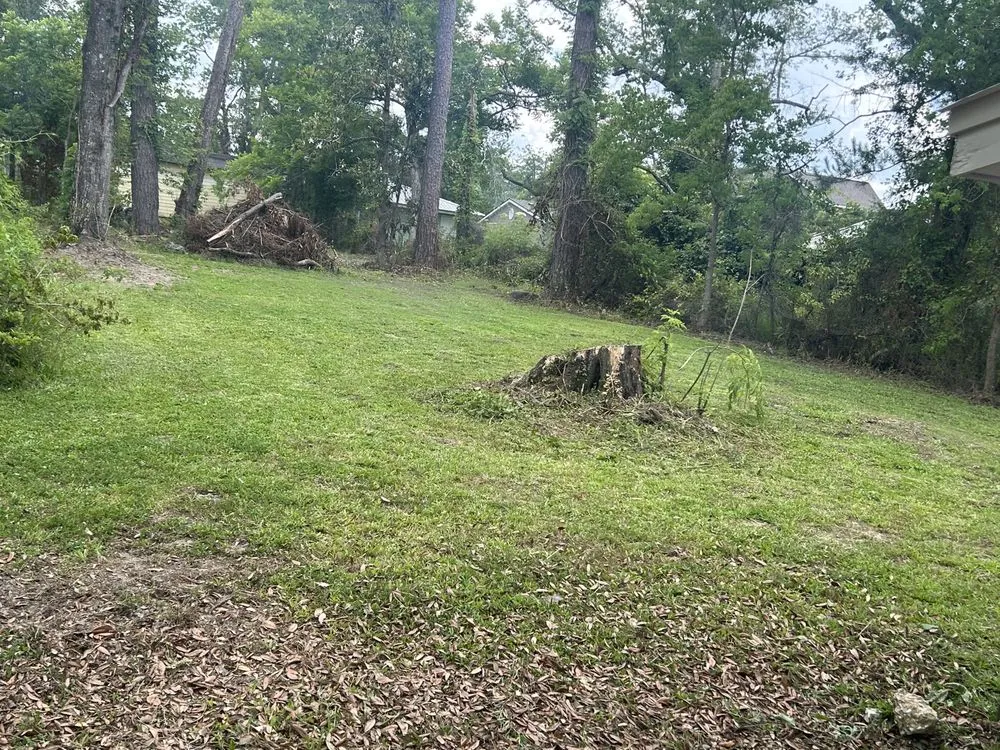 Custom yard cleanup service experts serving Loranger, LA - Sam’s lawn care