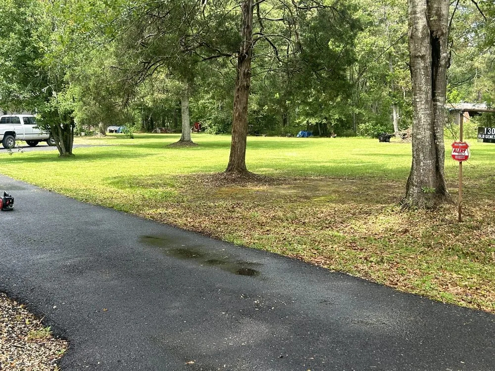 Reliable yard cleanup service in Loranger, LA - Sam’s lawn care