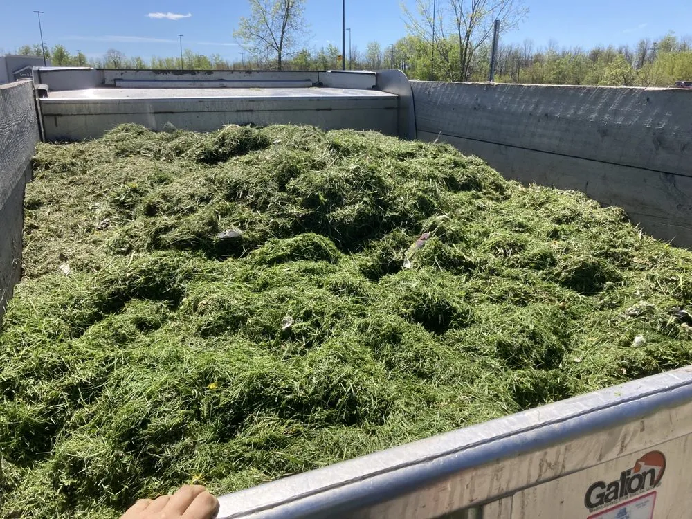 Reliable yard cleanup service for homes in Massena, NY by Sam’s Lawn Care Services