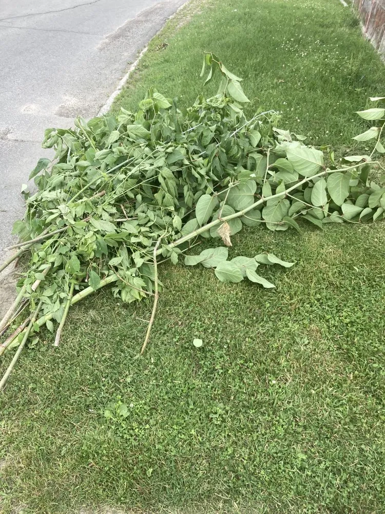 Trusted garden landscaping in Massena, NY - Sam’s Lawn Care Services