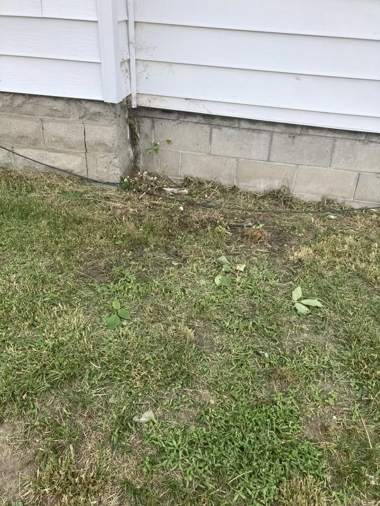 Expert yard cleanup service experts serving Massena, NY - Sam’s Lawn Care Services