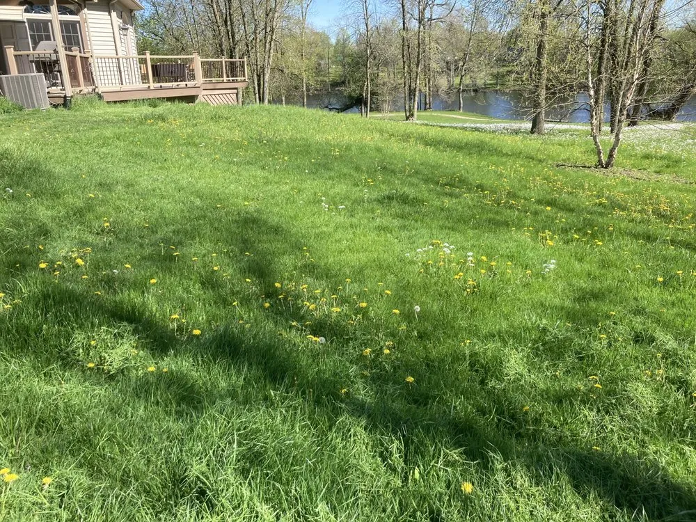 Reliable landscaping services with custom design in Massena, NY by Sam’s Lawn Care Services