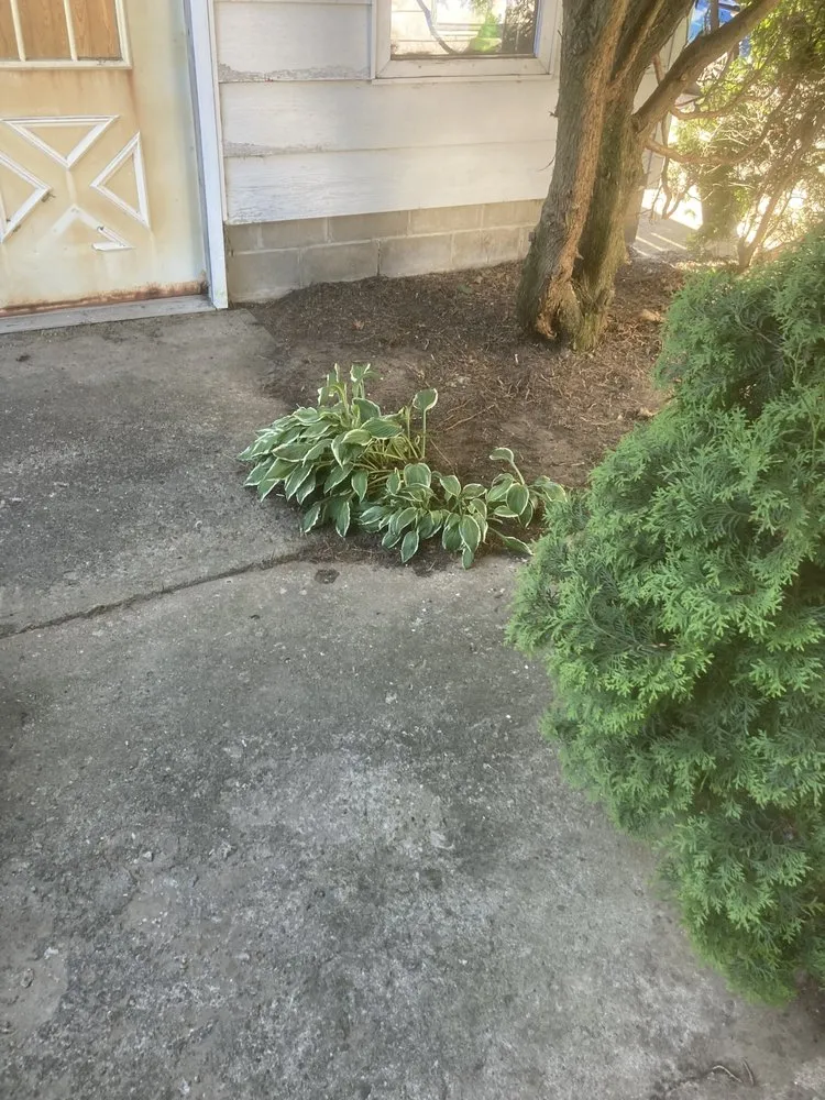 Professional lawn care service in Massena, NY - Sam’s Lawn Care Services