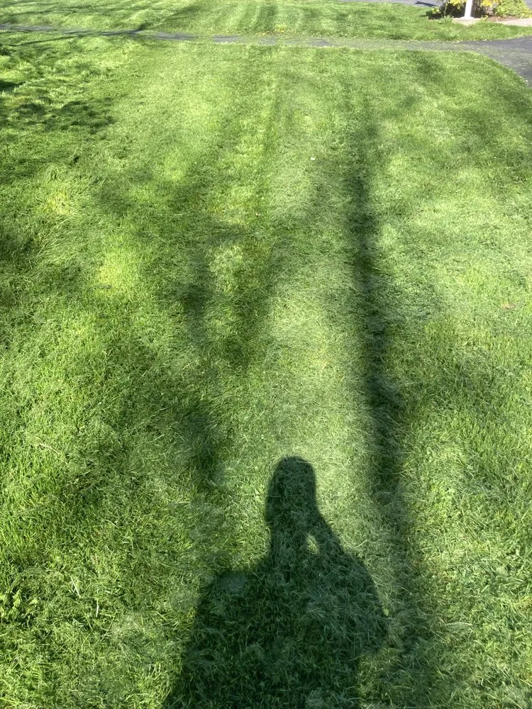 Affordable residential landscaping for beautiful yards in Massena, NY by Sam’s Lawn Care Services