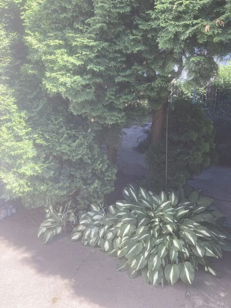 Local outdoor landscaping in Massena, NY by Sam’s Lawn Care Services