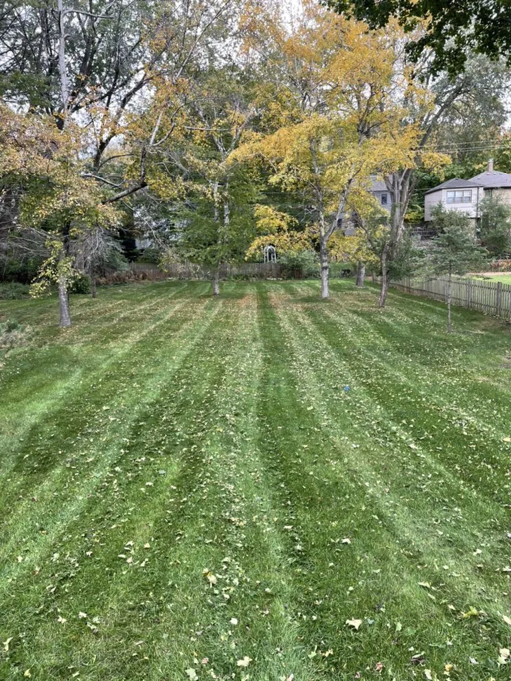 Affordable lawn mowing service experts serving South Milwaukee, WI - Sam’s Lawn Care
