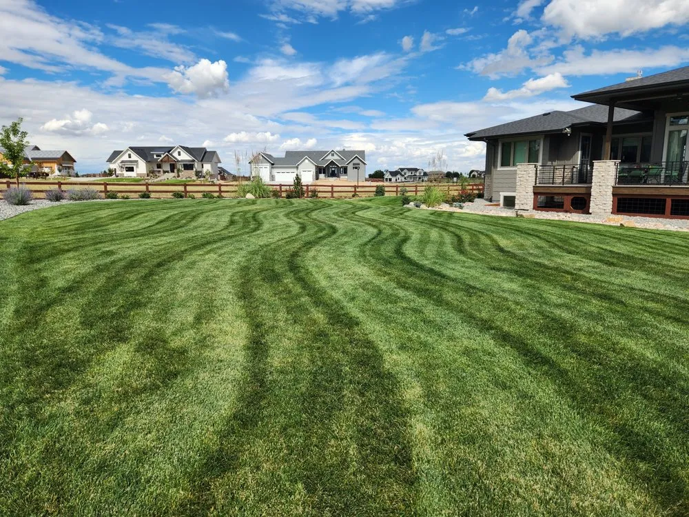 Reliable landscape installation in Windsor, CO - Sam's Lawn Care