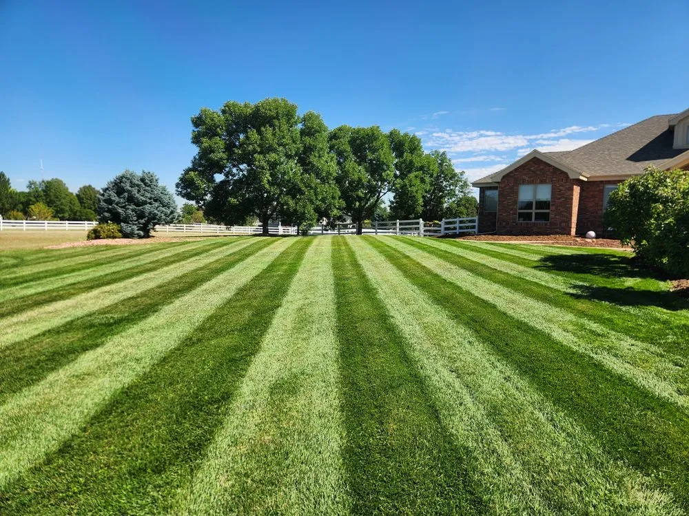 Reliable yard cleanup service in Windsor, CO - Sam's Lawn Care