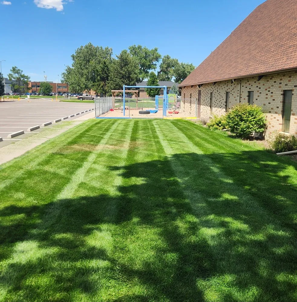 Local outdoor landscaping in Windsor, CO by Sam's Lawn Care