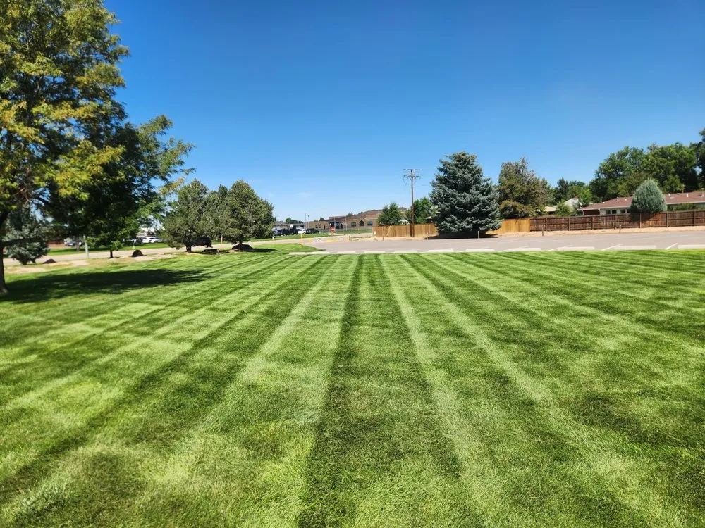 Trusted garden landscaping experts serving Windsor, CO - Sam's Lawn Care