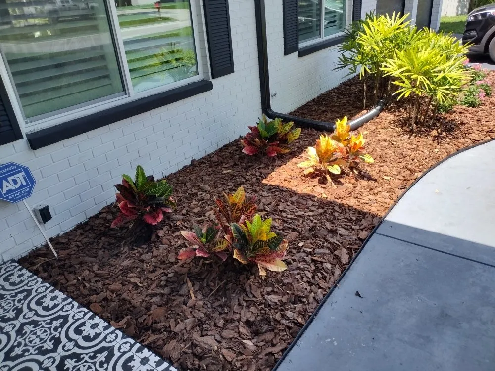 Trusted yard maintenance experts serving Tampa Bay, FL - Sam's Lawn Grooming Service