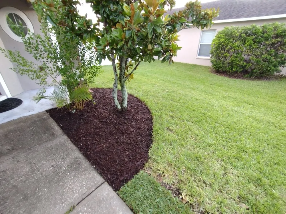 Reliable garden landscaping for year-round maintenance across Tampa Bay, FL - Sam's Lawn Grooming Service