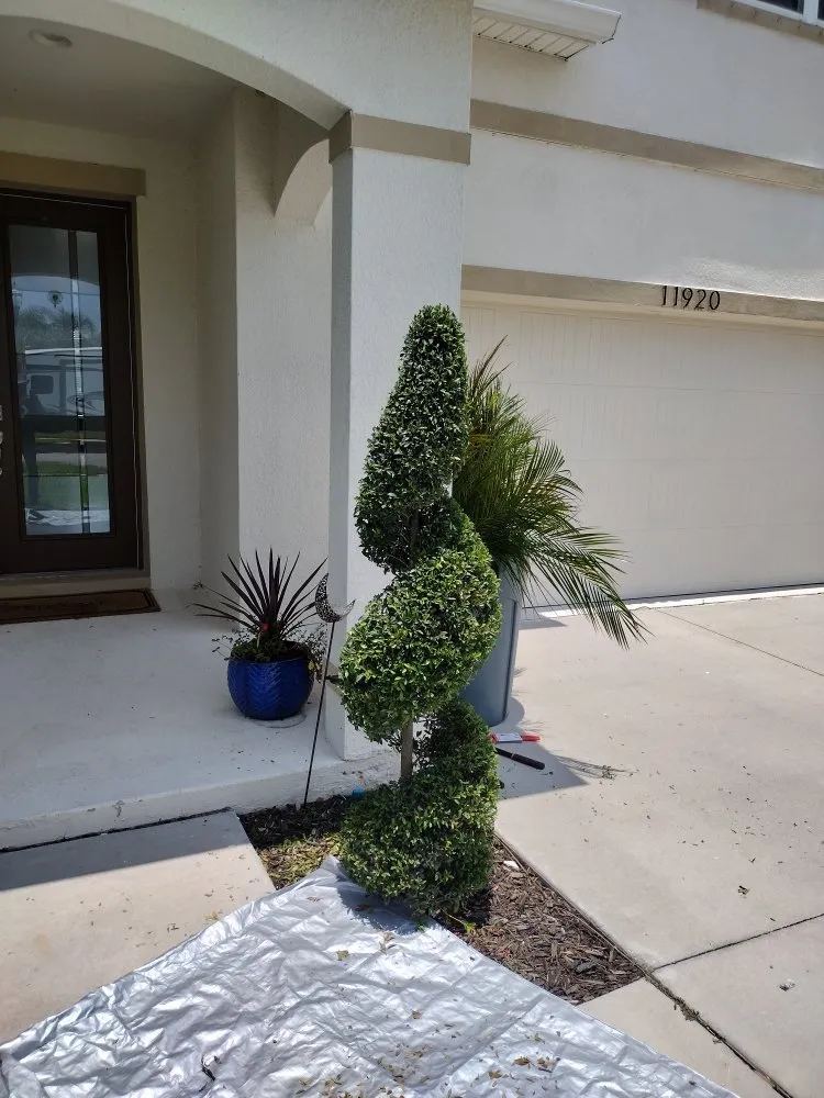Local yard cleanup service experts serving Tampa Bay, FL - Sam's Lawn Grooming Service
