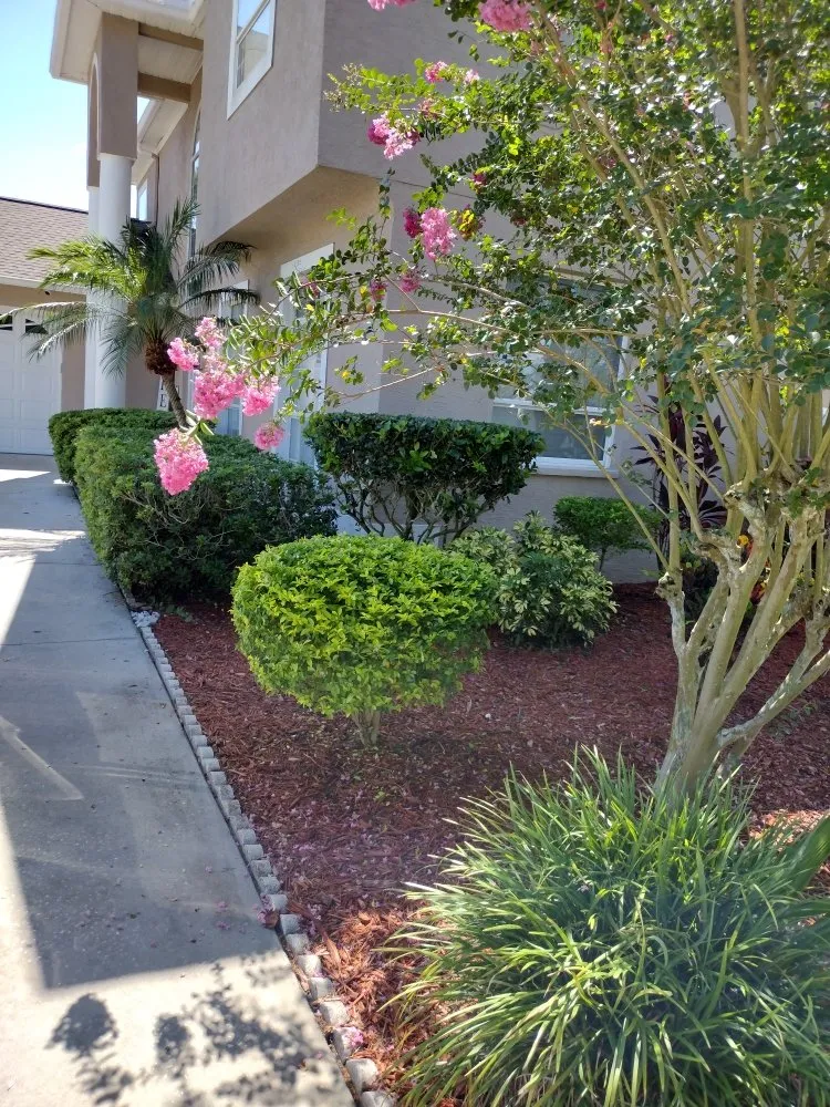 Trusted lawn mowing service in Tampa Bay, FL by Sam's Lawn Grooming Service