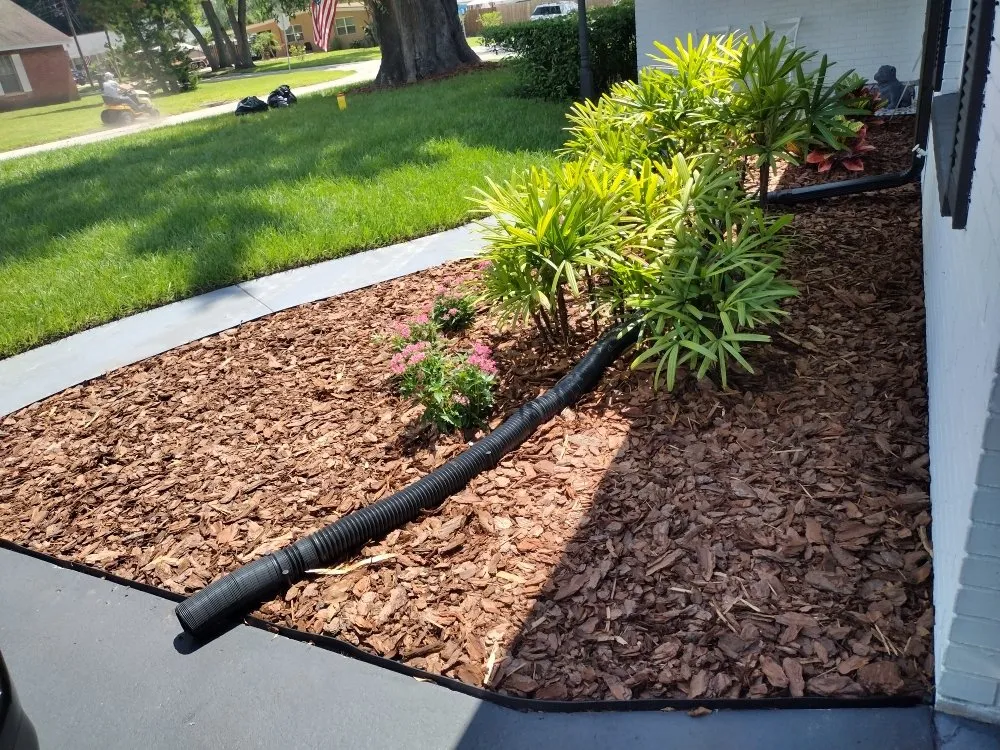 Affordable landscape design for outdoor upgrades in Tampa Bay, FL by Sam's Lawn Grooming Service