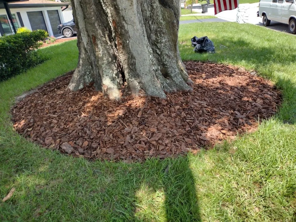 Reliable landscape installation in Tampa Bay, FL - Sam's Lawn Grooming Service