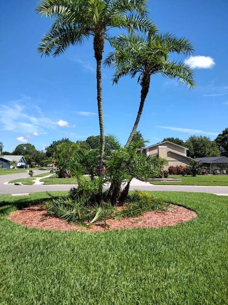 Professional garden landscaping for outdoor upgrades across Tampa Bay, FL - Sam's Lawn Grooming Service