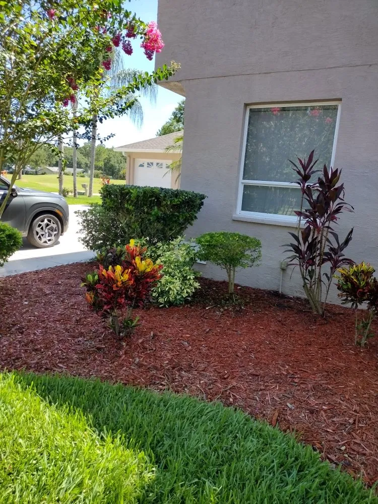Local yard maintenance in Tampa Bay, FL - Sam's Lawn Grooming Service