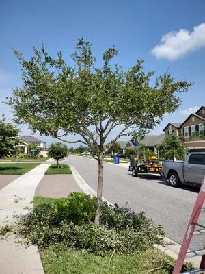 Sam's Lawn Grooming Service Logo