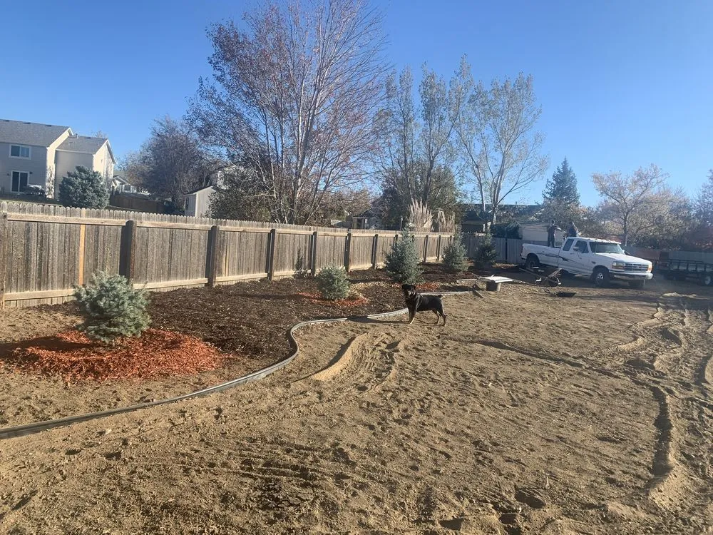 Local yard cleanup service for residential properties in Longmont, CO by Sam’S Lawn Mowing Service