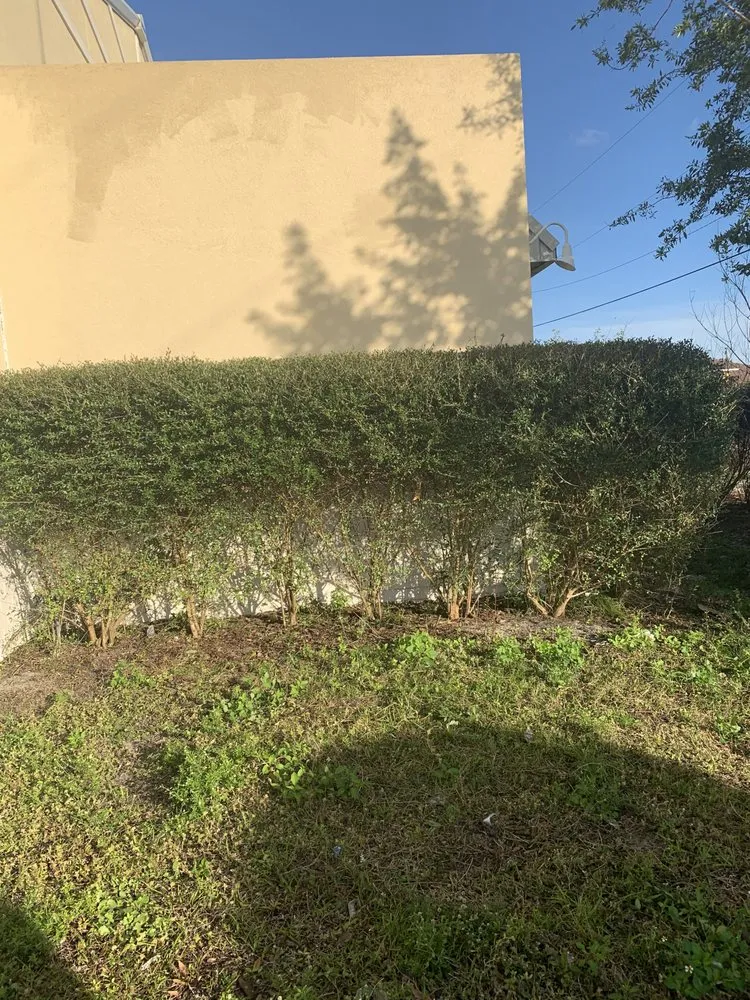 Custom lawn mowing service for beautiful yards across Lehigh Acres, FL - Sam’s Lawn Service