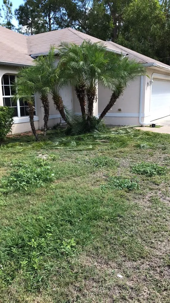 Trusted lawn mowing service experts serving Lehigh Acres, FL - Sam’s Lawn Service