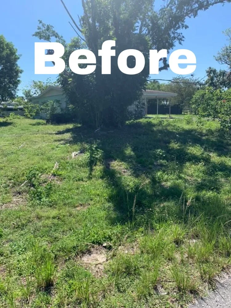 Professional lawn care service in Lehigh Acres, FL - Sam’s Lawn Service