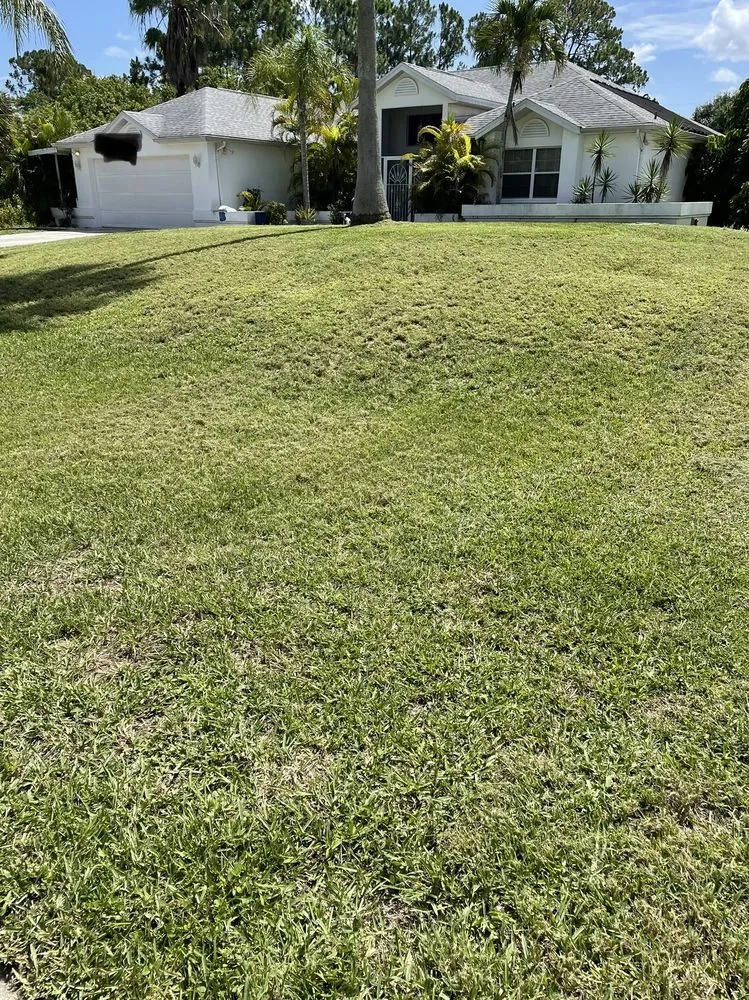 Custom landscape design for beautiful yards across Lehigh Acres, FL - Sam’s Lawn Service