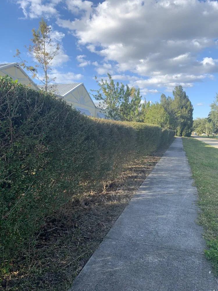 Custom landscape installation with custom design in Lehigh Acres, FL by Sam’s Lawn Service