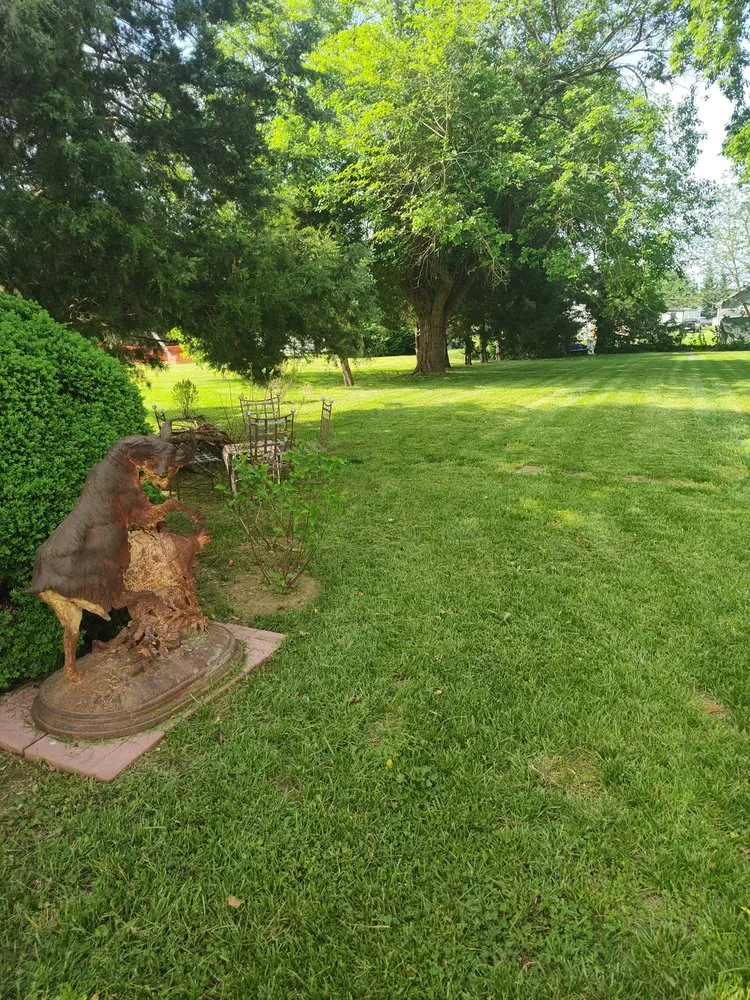 Local yard cleanup service in Hustle, VA by Sam's Lawncare
