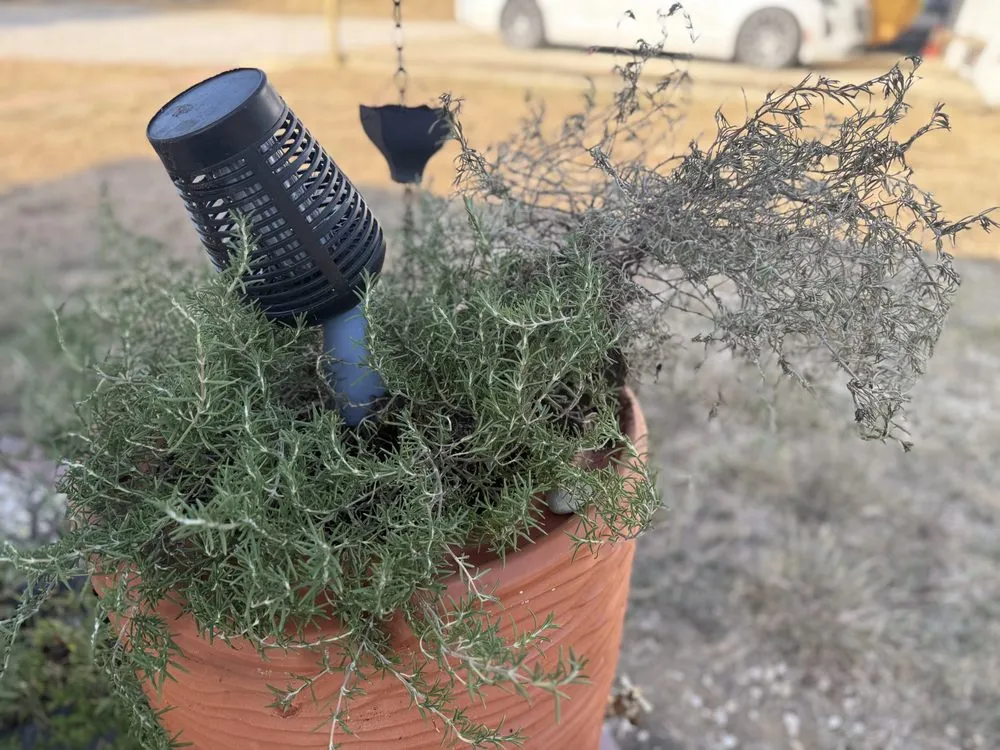 Trusted lawn care service in Buchanan Dam, TX by Sam's Nursery & Landscaping