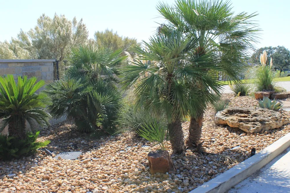 Affordable outdoor landscaping in Buchanan Dam, TX by Sam's Nursery & Landscaping