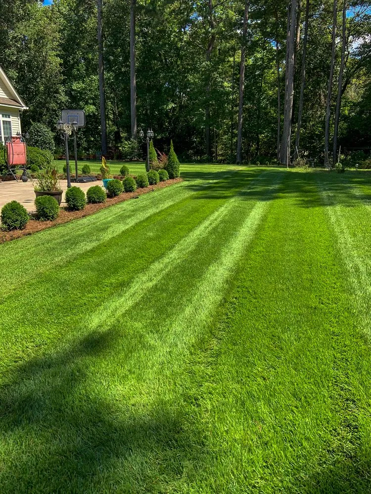 Reliable yard cleanup service for outdoor upgrades in Fayetteville, GA by Sam’s Personal Landscaping
