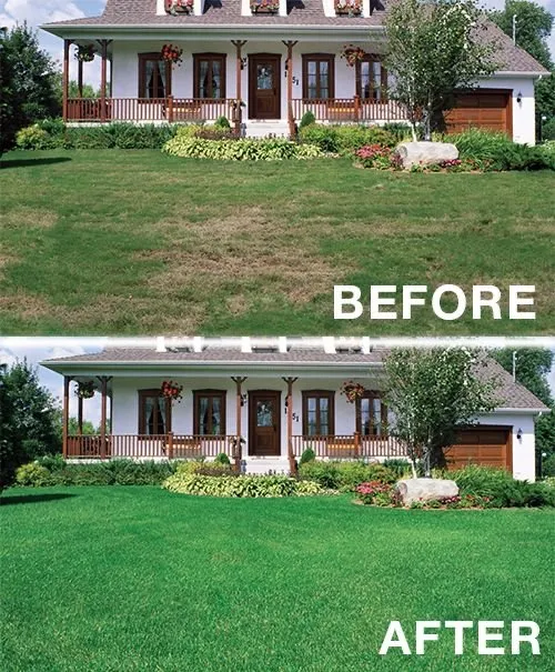 Affordable landscaping services in Montour Falls, NY - Sam’s Pressure Wash Lawn Care