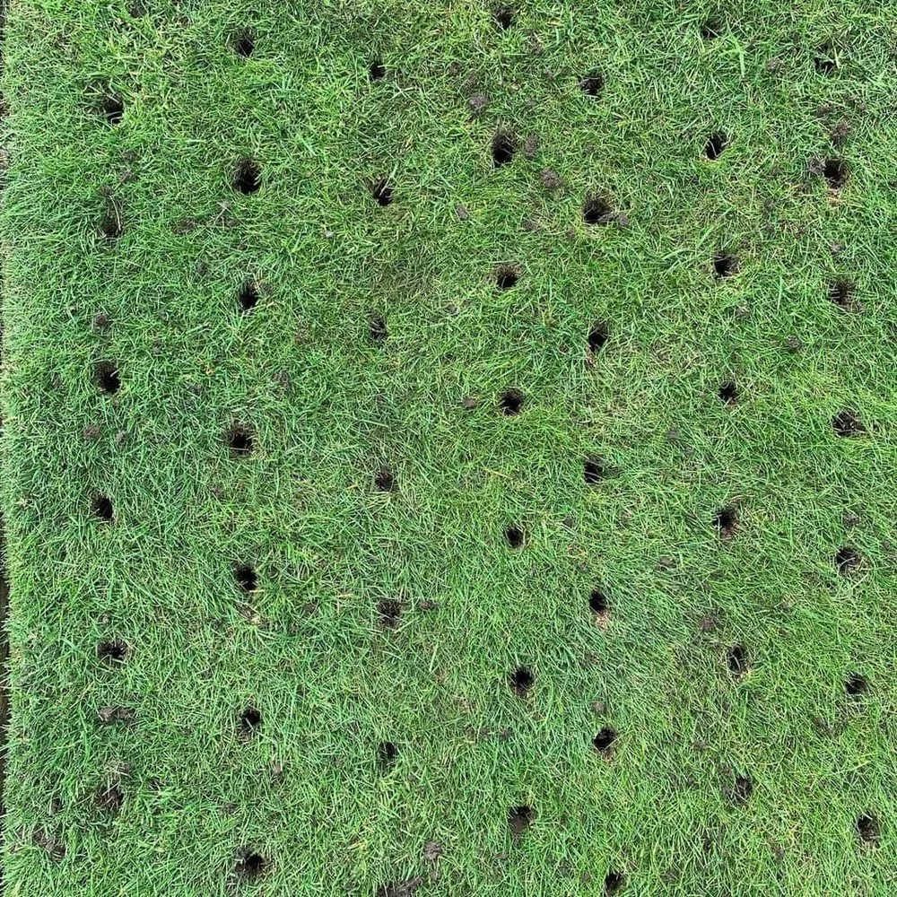 Top-rated yard cleanup service near you in Alliance, OH by Sams Property Maintenance