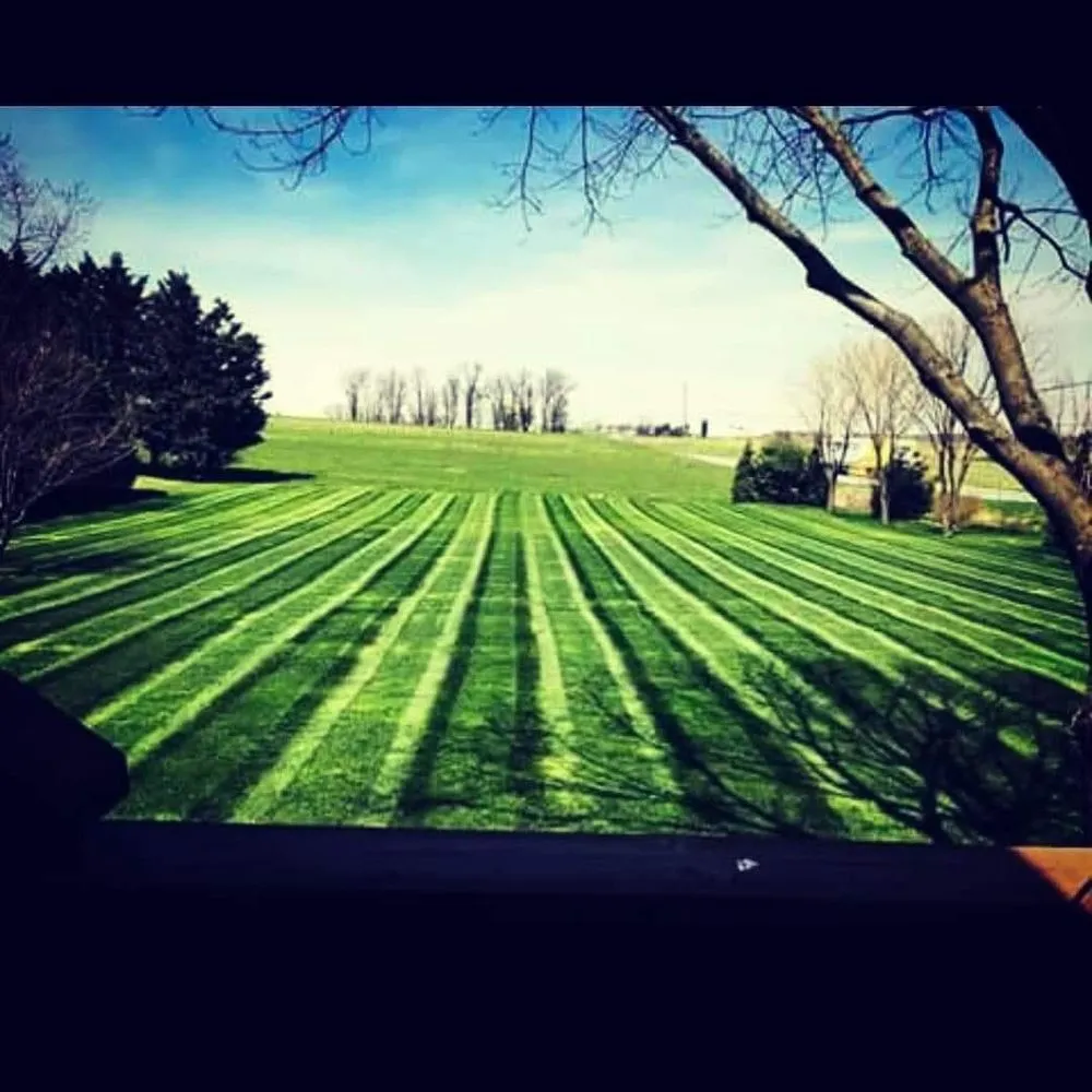 Trusted yard cleanup service for beautiful yards across Alliance, OH - Sams Property Maintenance