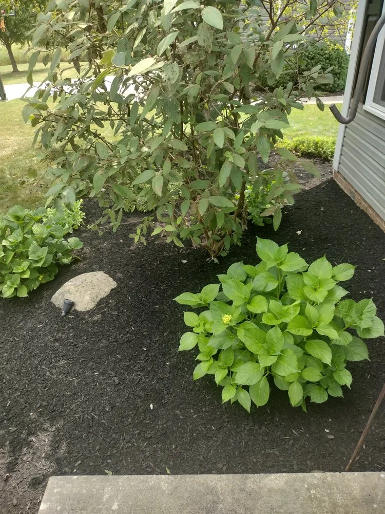 Trusted garden landscaping in Alliance, OH - Sams Property Maintenance