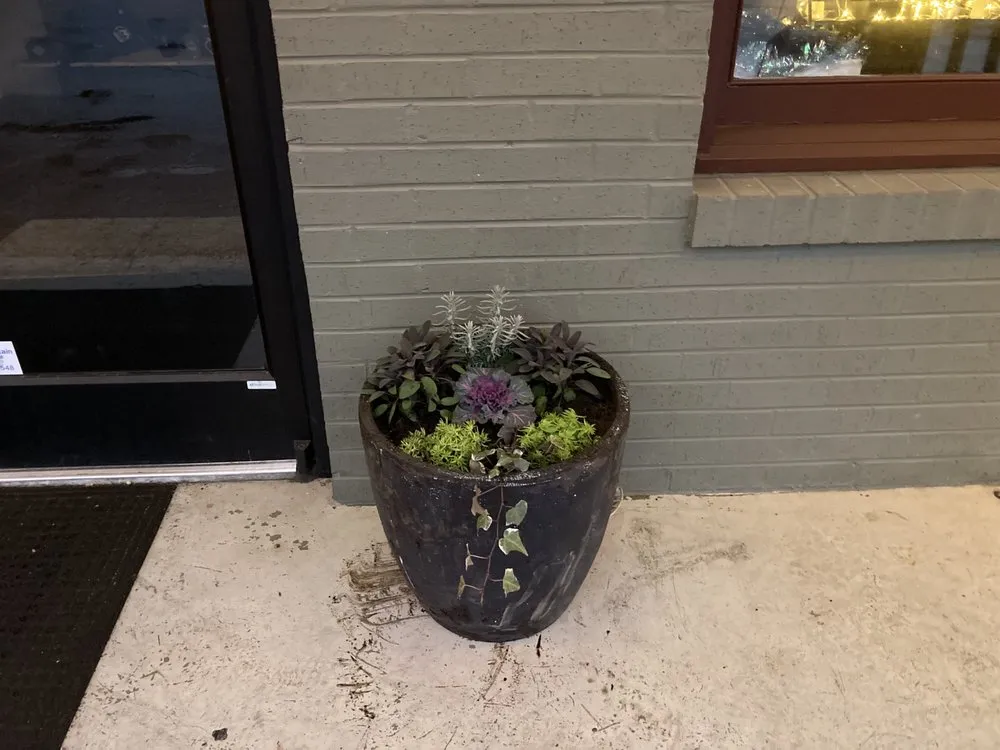 Professional lawn mowing service for residential properties in Chattanooga, TN by Sam’s Total Lawn Care