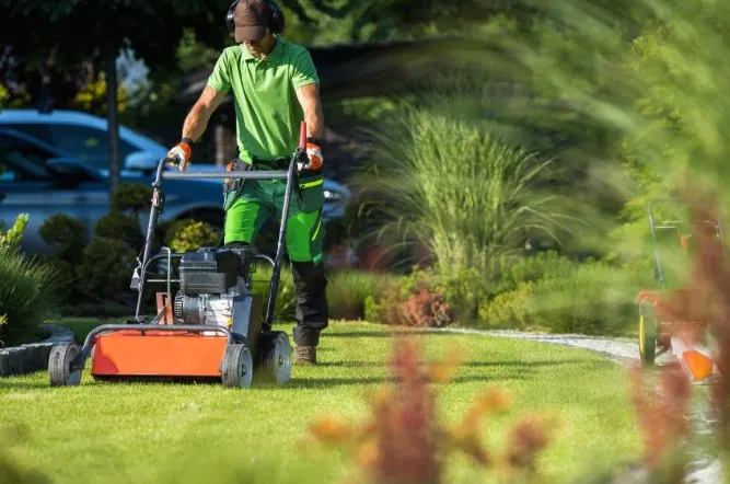 Affordable yard cleanup service for outdoor upgrades in Chattanooga, TN by Sam’s Total Lawn Care