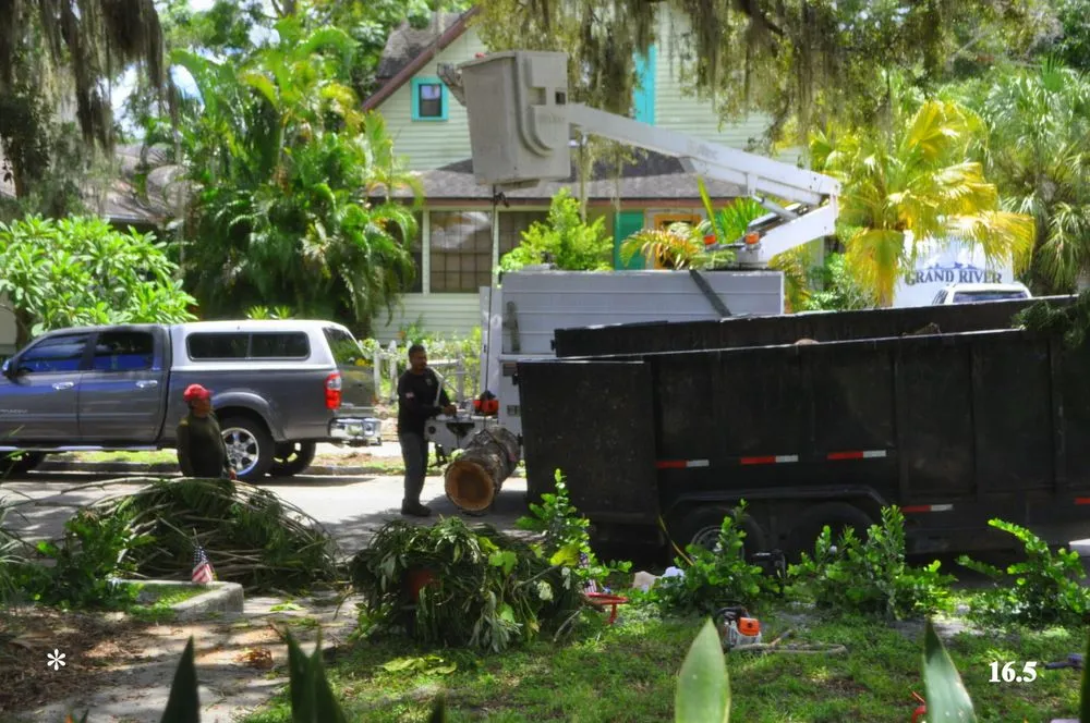 Expert lawn mowing service with custom design in Santa Ana, CA by Sam's Tree Service & Landscaping