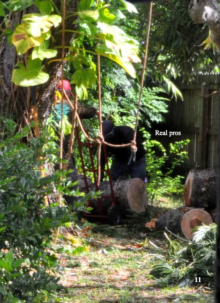 Custom yard maintenance with custom design across Santa Ana, CA - Sam's Tree Service & Landscaping