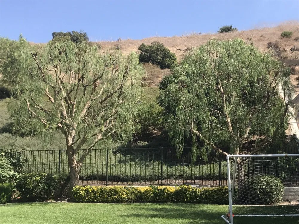 Top-rated residential landscaping for year-round maintenance across Santa Ana, CA - Sam's Tree Service & Landscaping