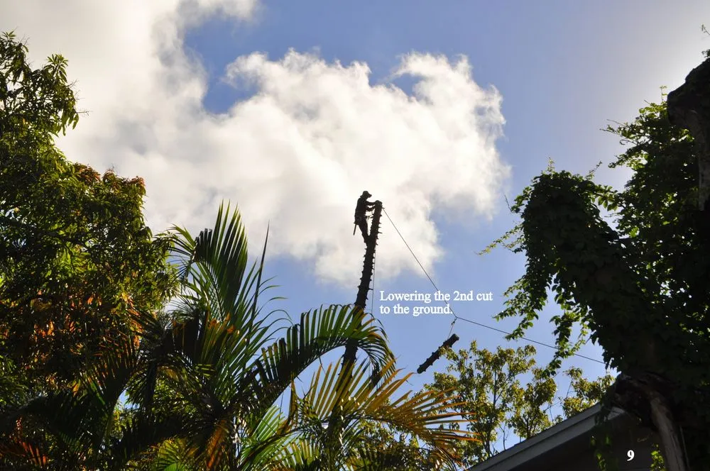 Custom residential landscaping in Santa Ana, CA - Sam's Tree Service & Landscaping