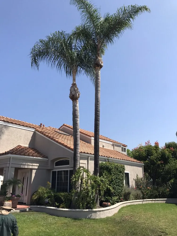 Custom yard maintenance for residential properties across Santa Ana, CA - Sam's Tree Service & Landscaping