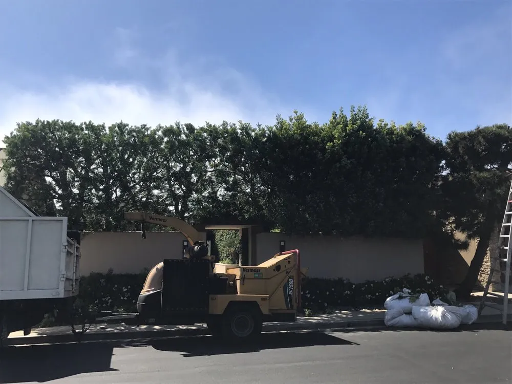 Expert outdoor landscaping with custom design in Santa Ana, CA by Sam's Tree Service & Landscaping